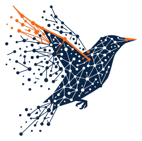 A starling in flight drawn as a network of connected points